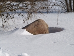 Kivi piilumas lumehangede vahel