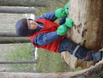 Lisaks uurimistele saavad lapsed ronida mahakukkunud puude peal...