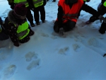 Lapsed leidsid kogu matka vÃ¤ltel lumelt erinevate loomade jÃ¤lgi. Hea oli koos arutada, kellele nad kuuluvad.